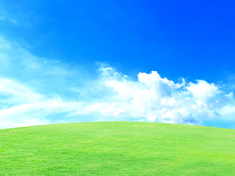 浪江コンサルタントについて