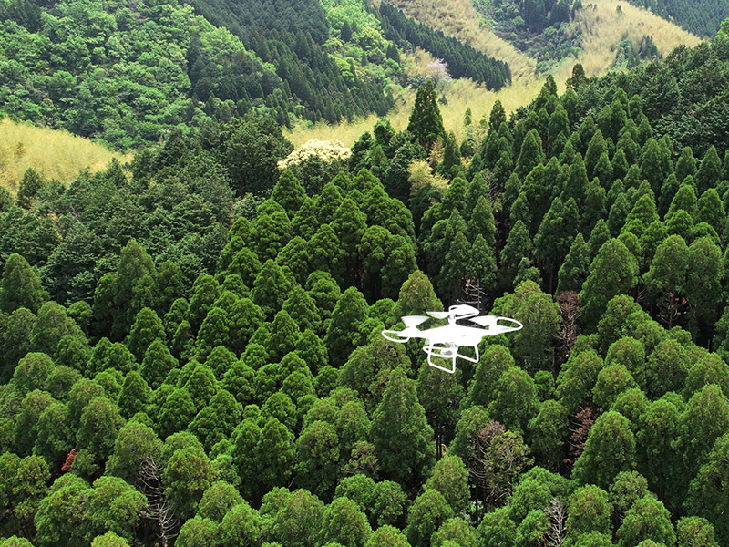 ドローン測量