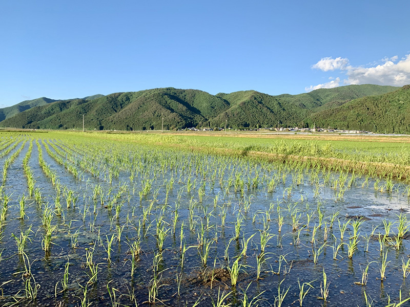 自らが復興の礎となる企業を目指して